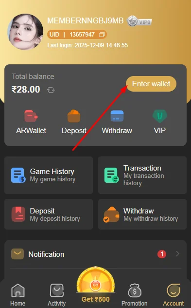 Go to the wallet section